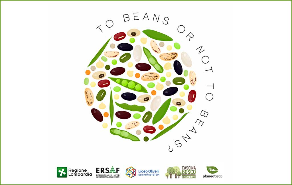 Progetto agroalimentare To beans on not to beans?